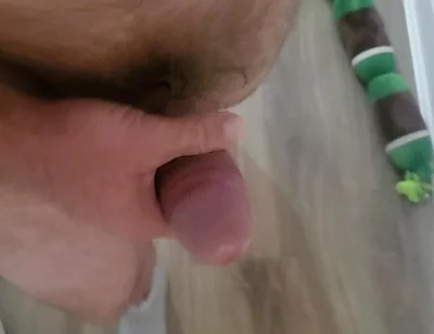Standing Cock