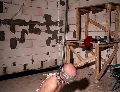 Zeus Tapegagged and Spikes Collar
