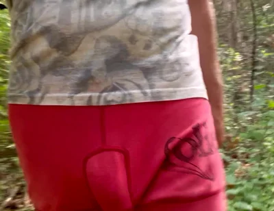 Bulge Walk in a Forest