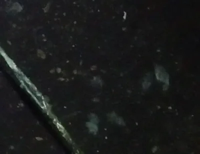 Pissing Time