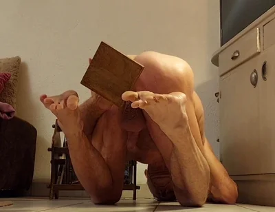 Fan Videos