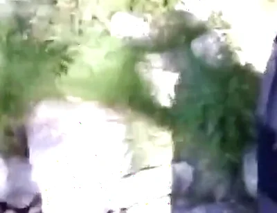 Jon Arteen Pissing Pee Outside. Twink Flirting in a Gay Cruising Park. Sexy Slim Boy in Adidas Sportwear