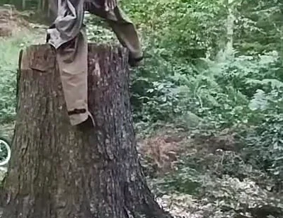 Stump Chase, Part One