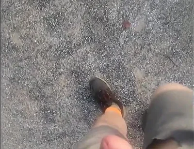Went for a Walk at the Truck Stop