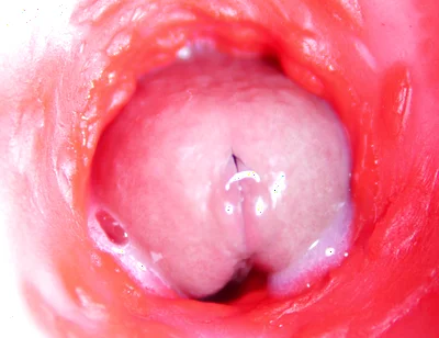 Camera Inside Anal: Almost Cum in Ass! Best Internal Asmr in 4K