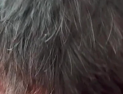 The Secret Intimacy of the Bears 3
