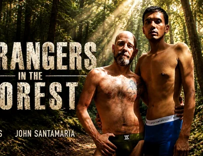 Strangers in the Forest