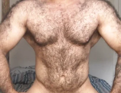 Lobo Video