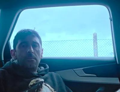 In Public, in the Car
