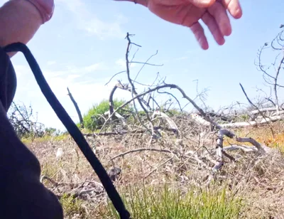 Masturbating My Big Cock on a Beach - Walking Excited