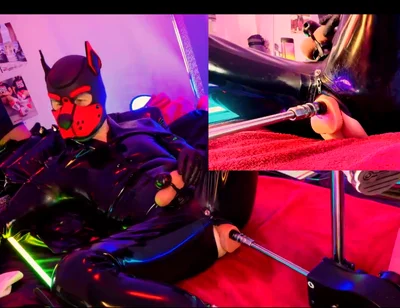Nicolaus Rubber Show Mit Pup Maske