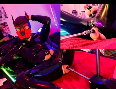 Doggy Rubber Show