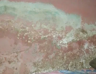 Big Cock Pees and Fucks His Bed Conspicuously
