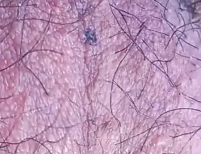 Sexy Twink's Hairy Balls Move All Alone for This Fascinating Gay Porn Video