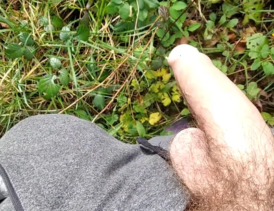 The Horny Stepfather Went on a Hike, When He Took Out His Bonita Cock a Tick Fell on His Cock