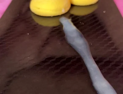 Does Anyone Not Like Sperm Cookies?