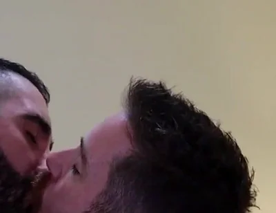 Bears Kissing