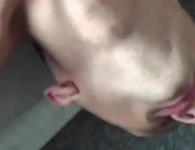 Hot Big Dick of This Twink 22 Yo