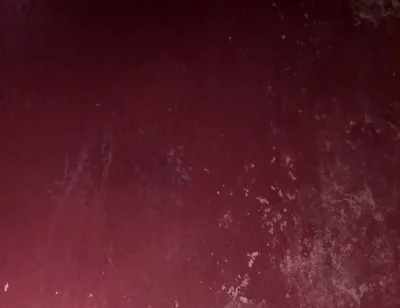 A Large Penis Seeking a Vagina
