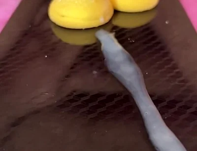 Does Anyone Not Like Sperm Cookies?