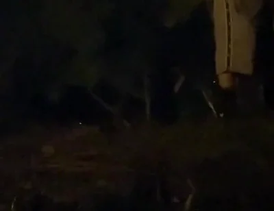 Amateur Straight Boy Caught Pissing in a Park, at Night