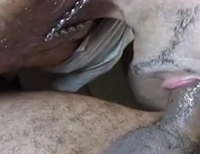 Mature Boy Fucking in the Kitchen