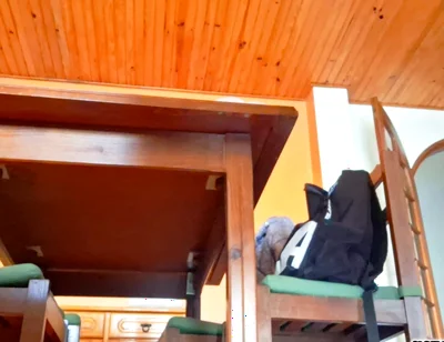 Horny Guy Humps Furniture Like Crazy - Table, Chair, Sofa & Kitchen Counter + Thick Cumshot