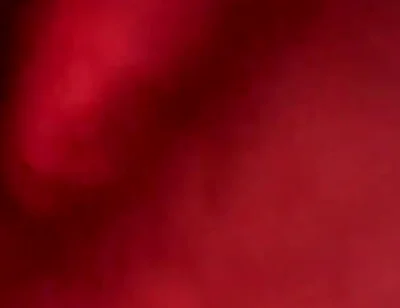 Couple Fuck