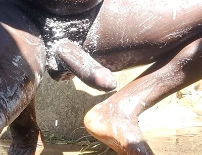 You’ll Be on Your Knees for This Whole Video, No Doubts as Cum in Your Mouth