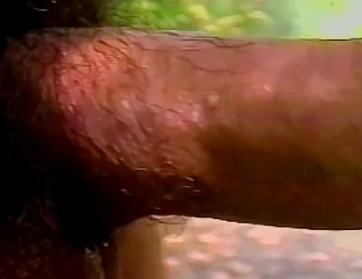 Sweet Latino Man Loving Outdoors