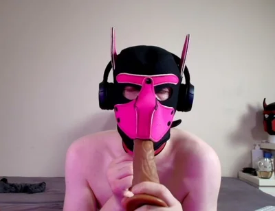 This Could Be Your Cock in Hound's Mouth