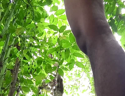 Jungle Masturbate I Need to Go Out for Horny