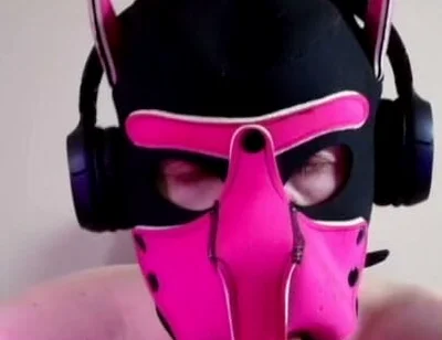 This Could Be Your Cock in Hound's Mouth
