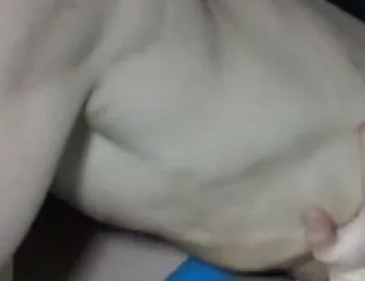 Hot Blond Twink Fucked Raw by Straight