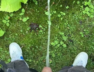Golden Stream: Peeing in Paradise