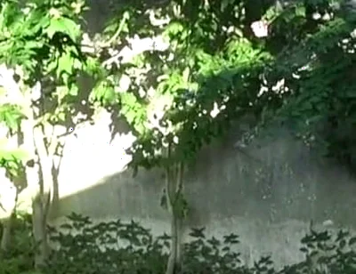 Fucked Raw in Exhib Ublic