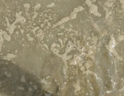 Barefoot in the September North Sea in Wangerland