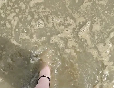Barefoot in the September North Sea in Wangerland