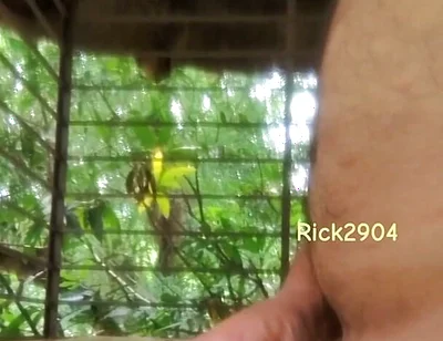 Playing with My Dick