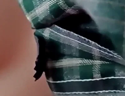 964 Asian Maid Accidentally Penetrated While Studying