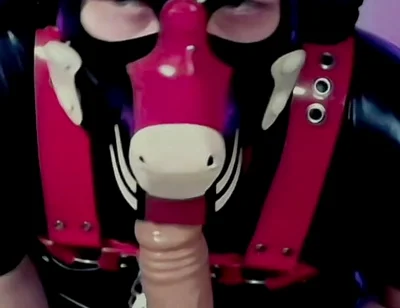 Goodboy Teases Playful Pup