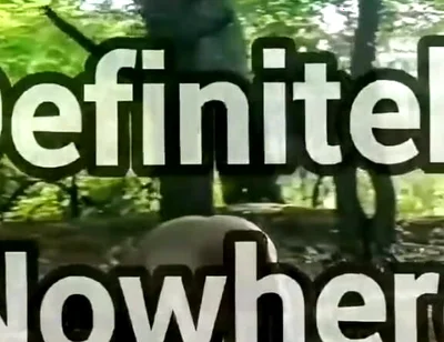 Ass on Full View in a Forest