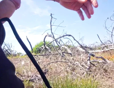 Perverted Man Masturbates His Beautiful Dick in a Beach