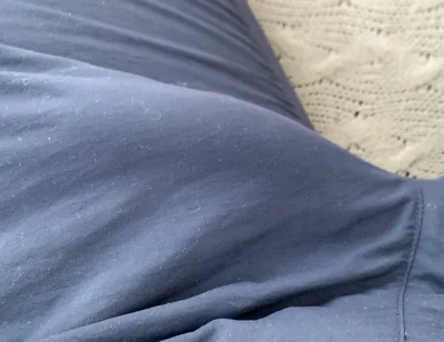 My Cock Is Doing the Iguana Trick