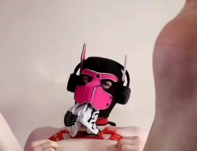 Puppy Paws Right in Your Face. Get the Full on My Fancentro
