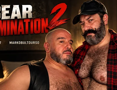 Bear Domination 2