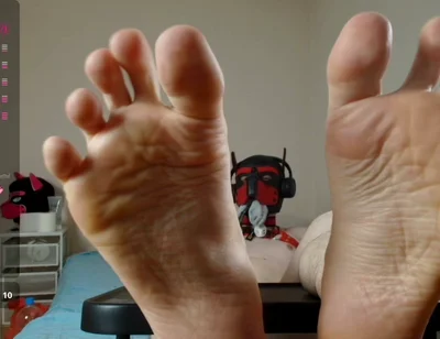 Puppy Shows off His Paws up Close
