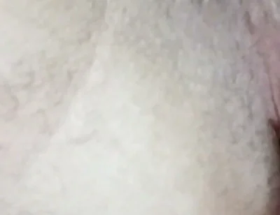 Hot Young Guy Showing off in Front of the Cameras