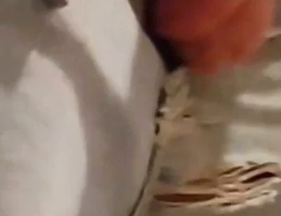 Batmans Huge Cock Returns