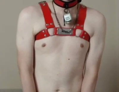 Needy Puppy Fucks His Toy Hard